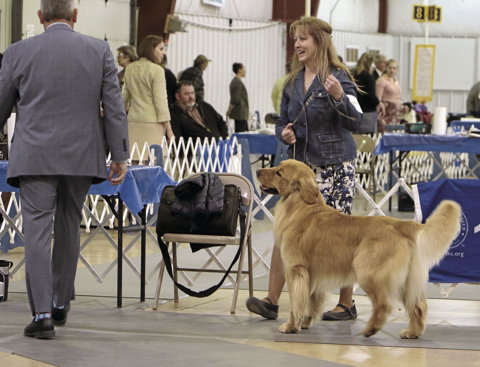 PHOTOS: 2022 AKC Dog Show